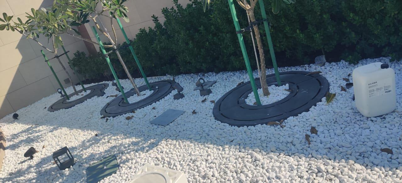 Tree Grates